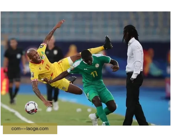 2025年非洲杯确定调整至12月举行 赛程新变化引发广泛关注